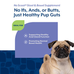 NaturVet perro recibiendo masticable, apoyo digestivo y conveniencia