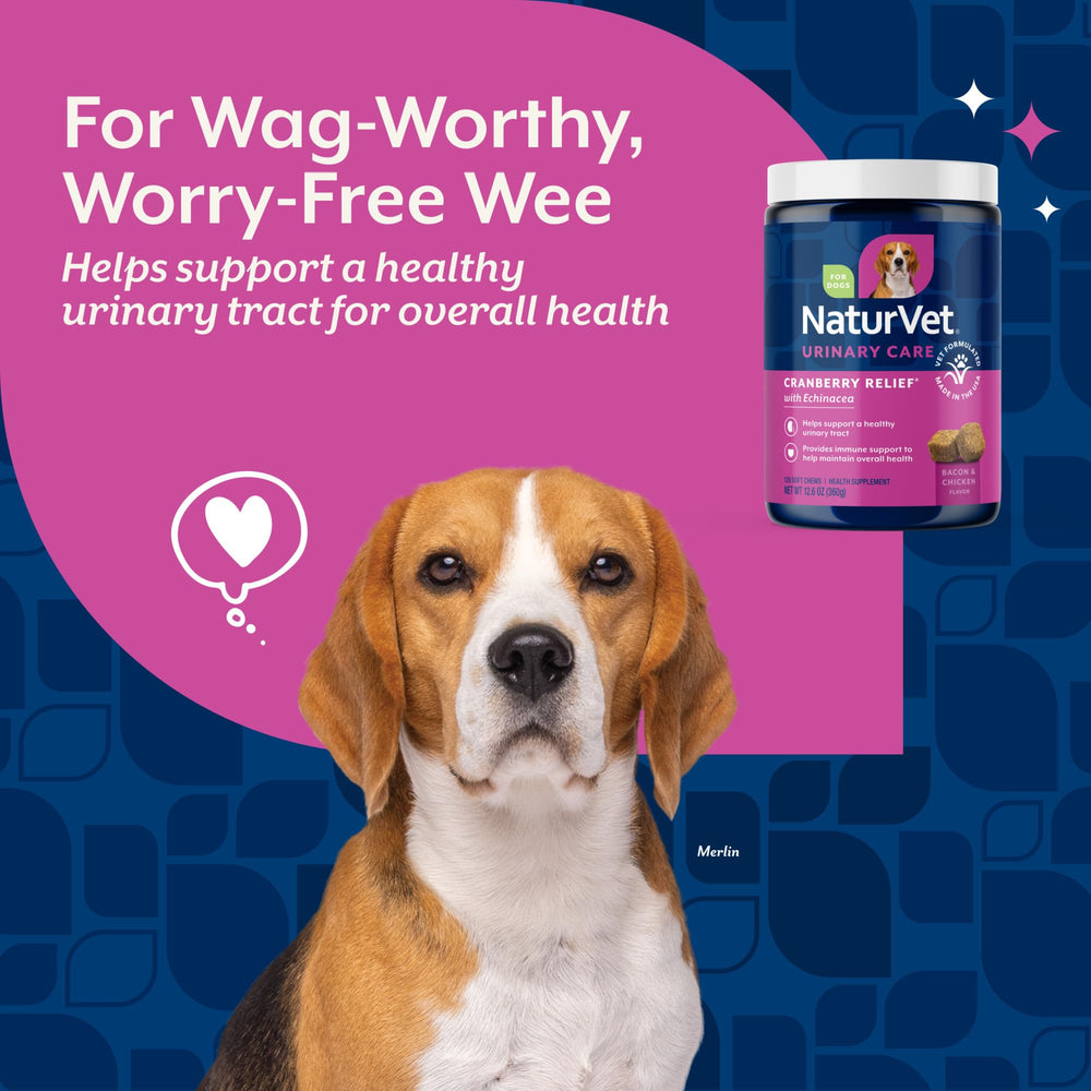 NaturVet tabletas sobre mano y perro recibiendo suplemento, muestra aceptación