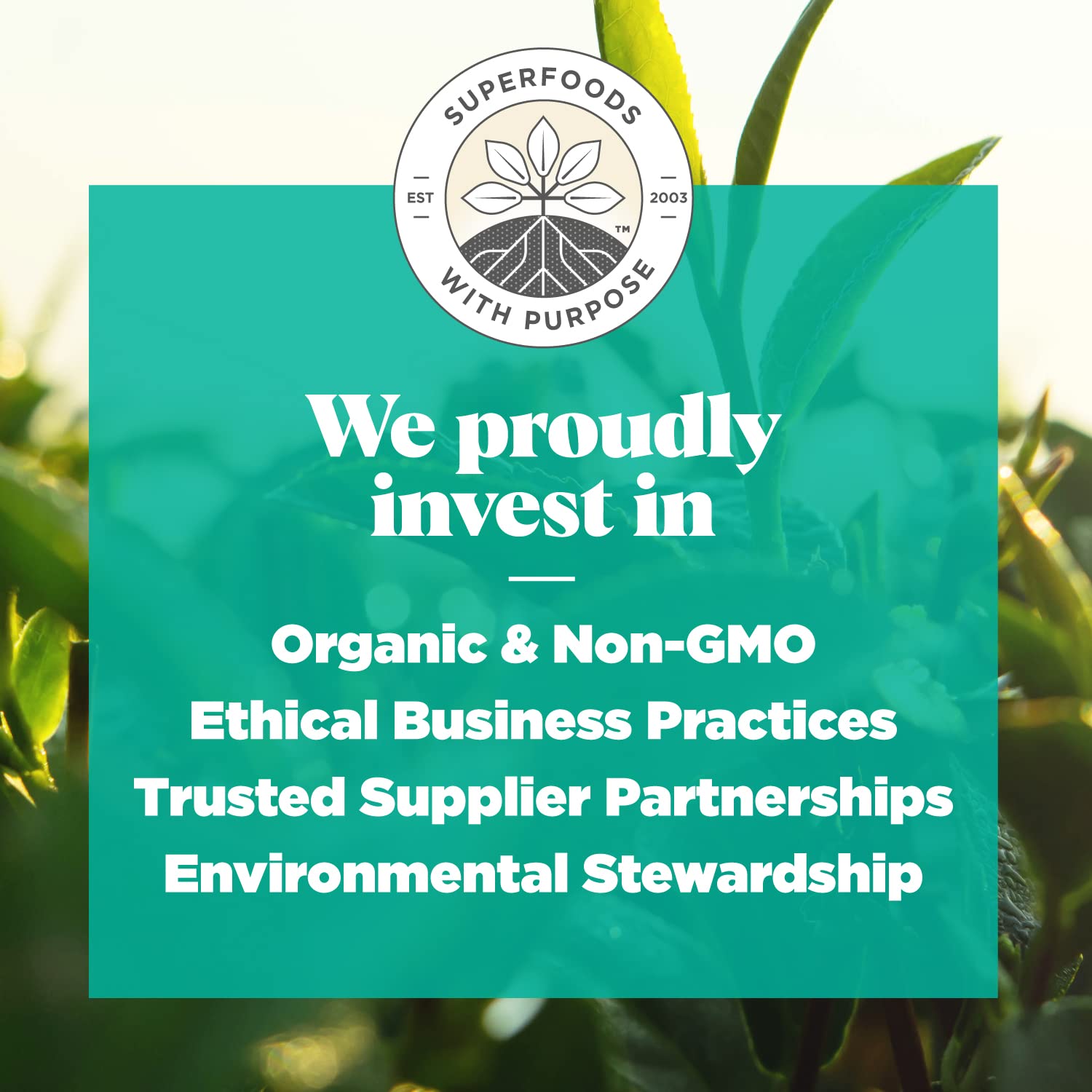 Navitas Organics etiqueta con certificaciones orgánico, kosher y sin gluten