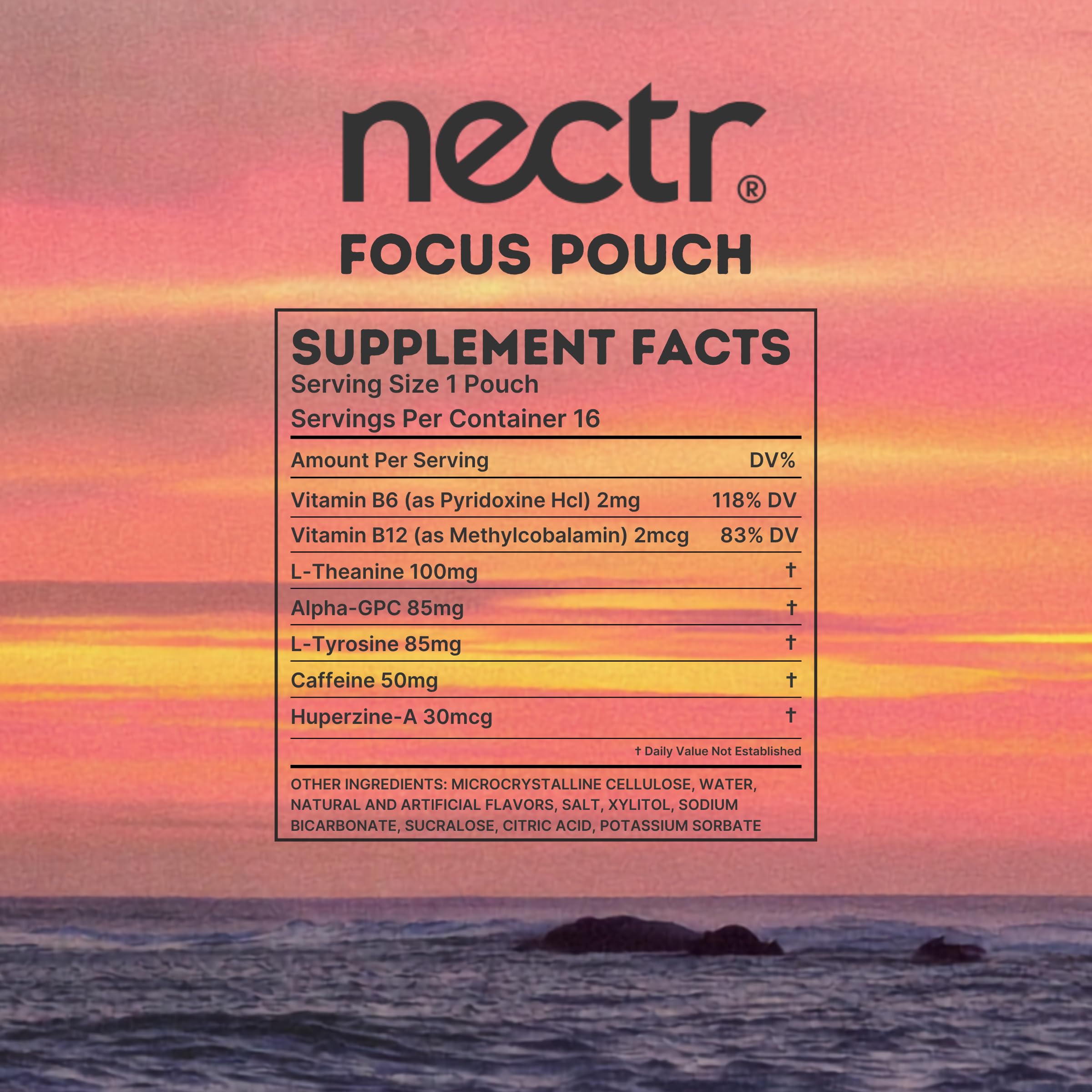 Nectr Focus+ pouch en mano para comparar tamaño y portabilidad