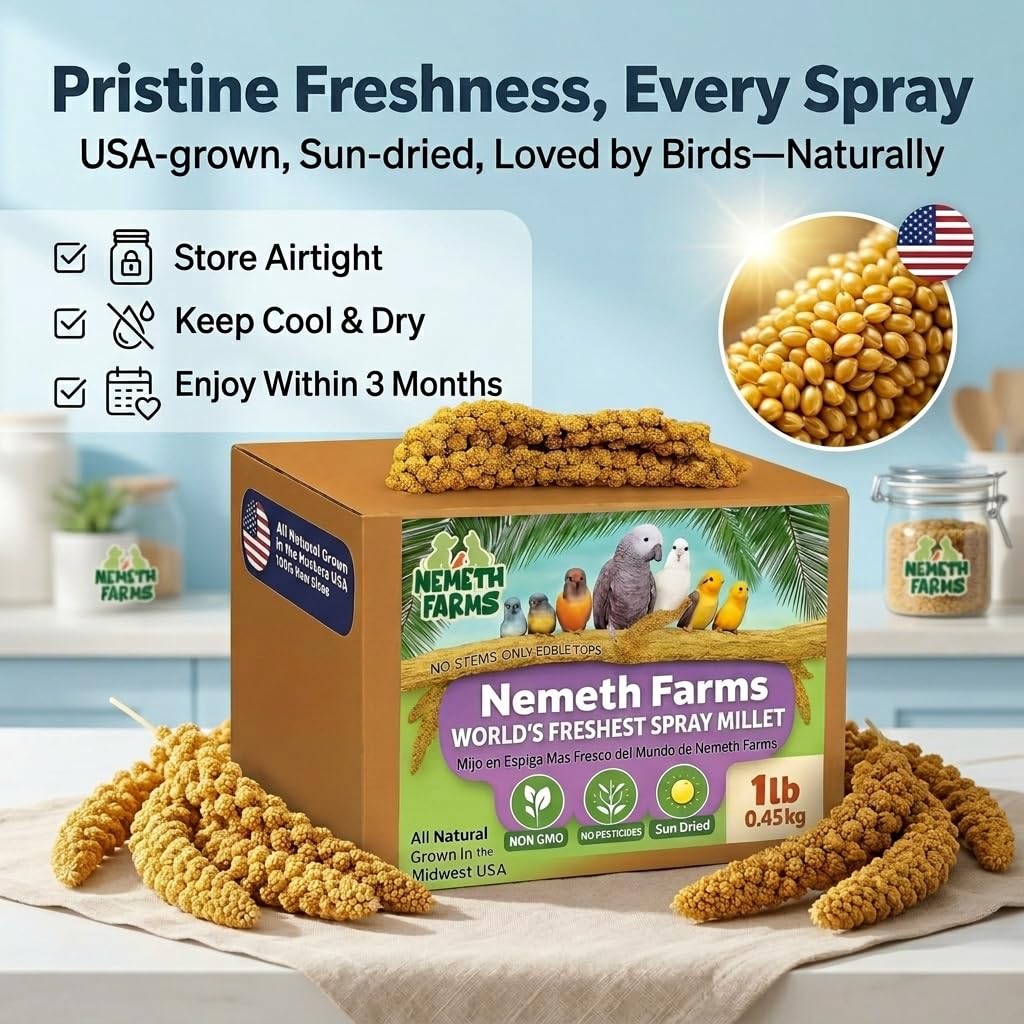 Nemeth Farms primer plano de espiga destacando textura y frescura