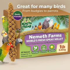 Nemeth Farms espiga en mano para comparar tamaño y porción