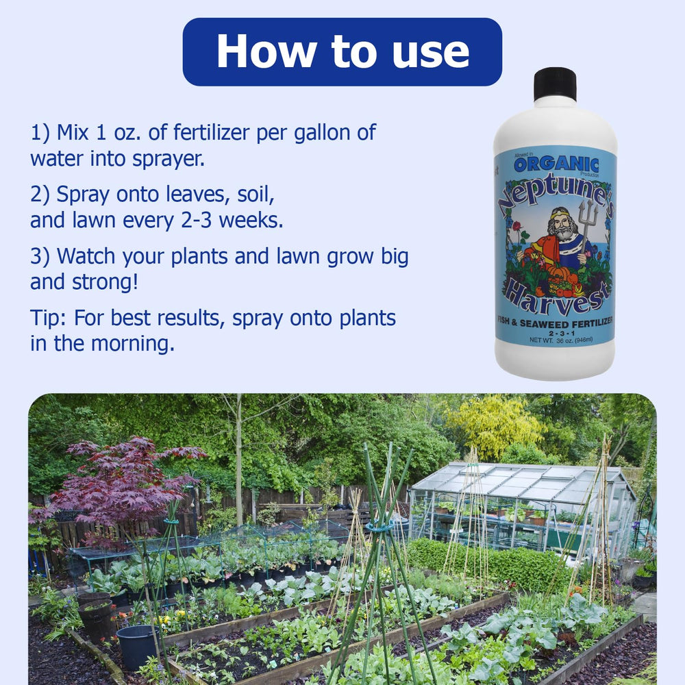 Neptune's Harvest soil drench applied at plant base supporting root health