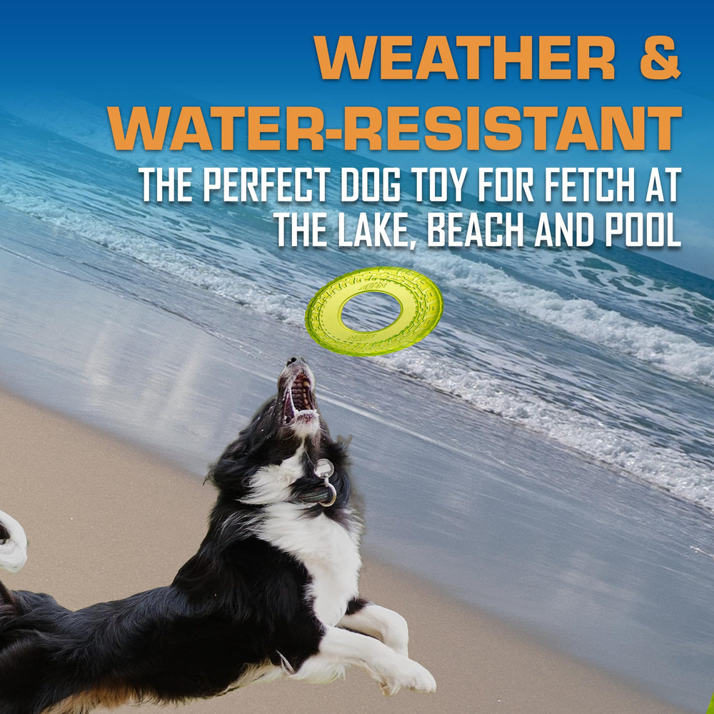 Nerf Dog disco flotando en agua ideal para juegos en piscina o lago