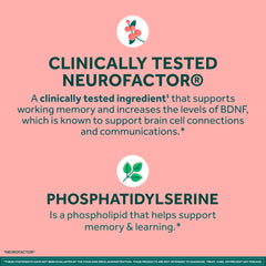 NEURIVA ingredientes Neurofactor y fosfatidilserina con apoyo cerebral