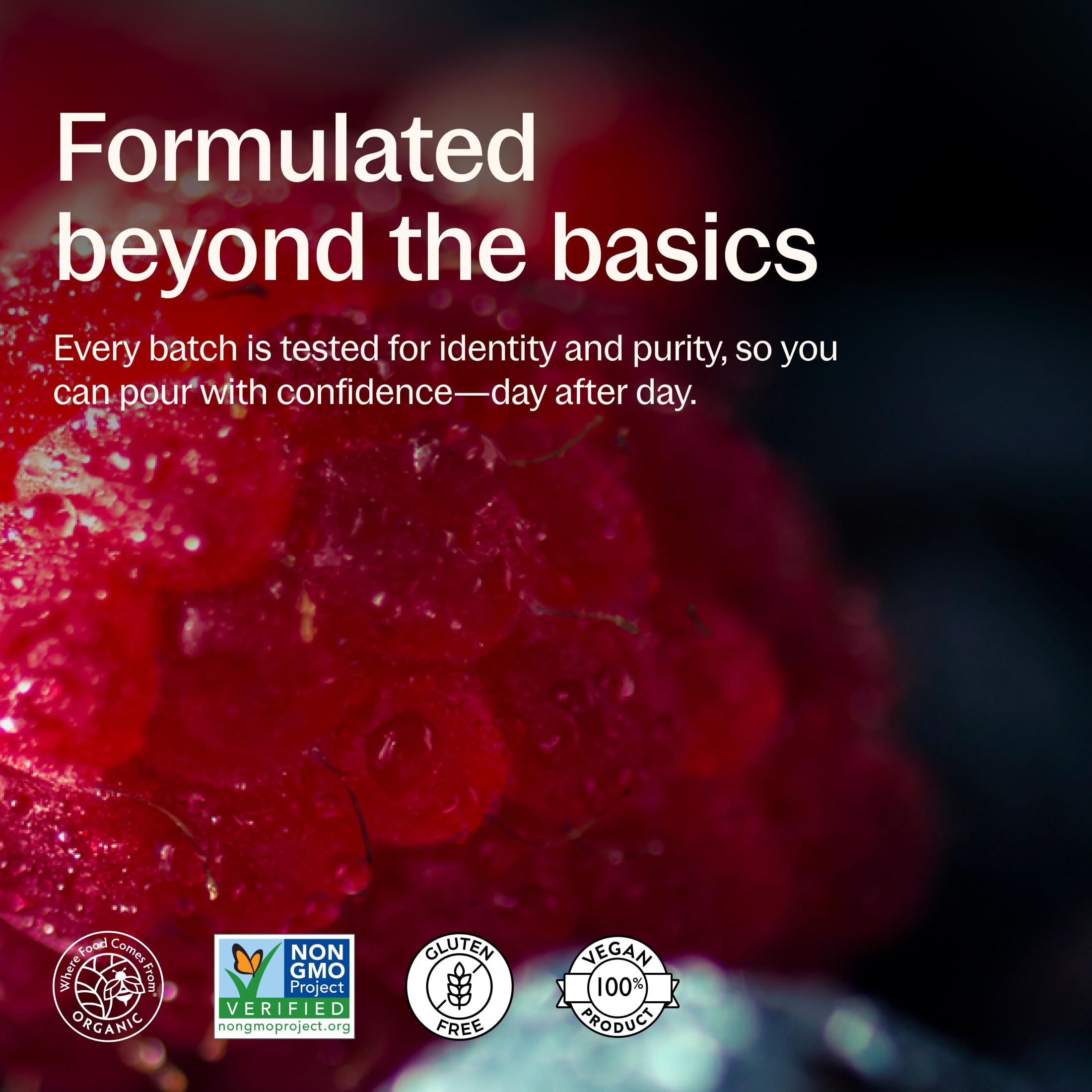 New Chapter ingredientes naturales y bayas que inspiran sabor y origen vegetal