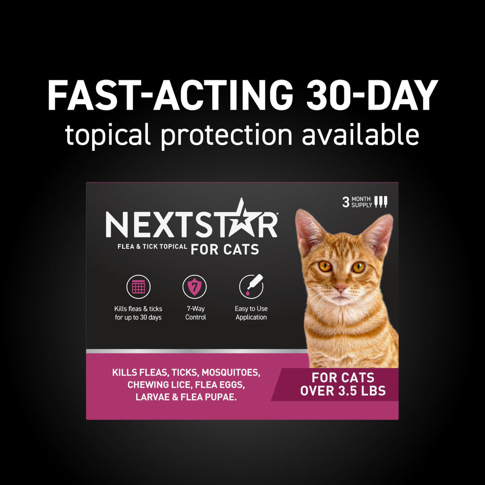 NEXTSTAR aplicador detalle que facilita aplicación precisa y segura
