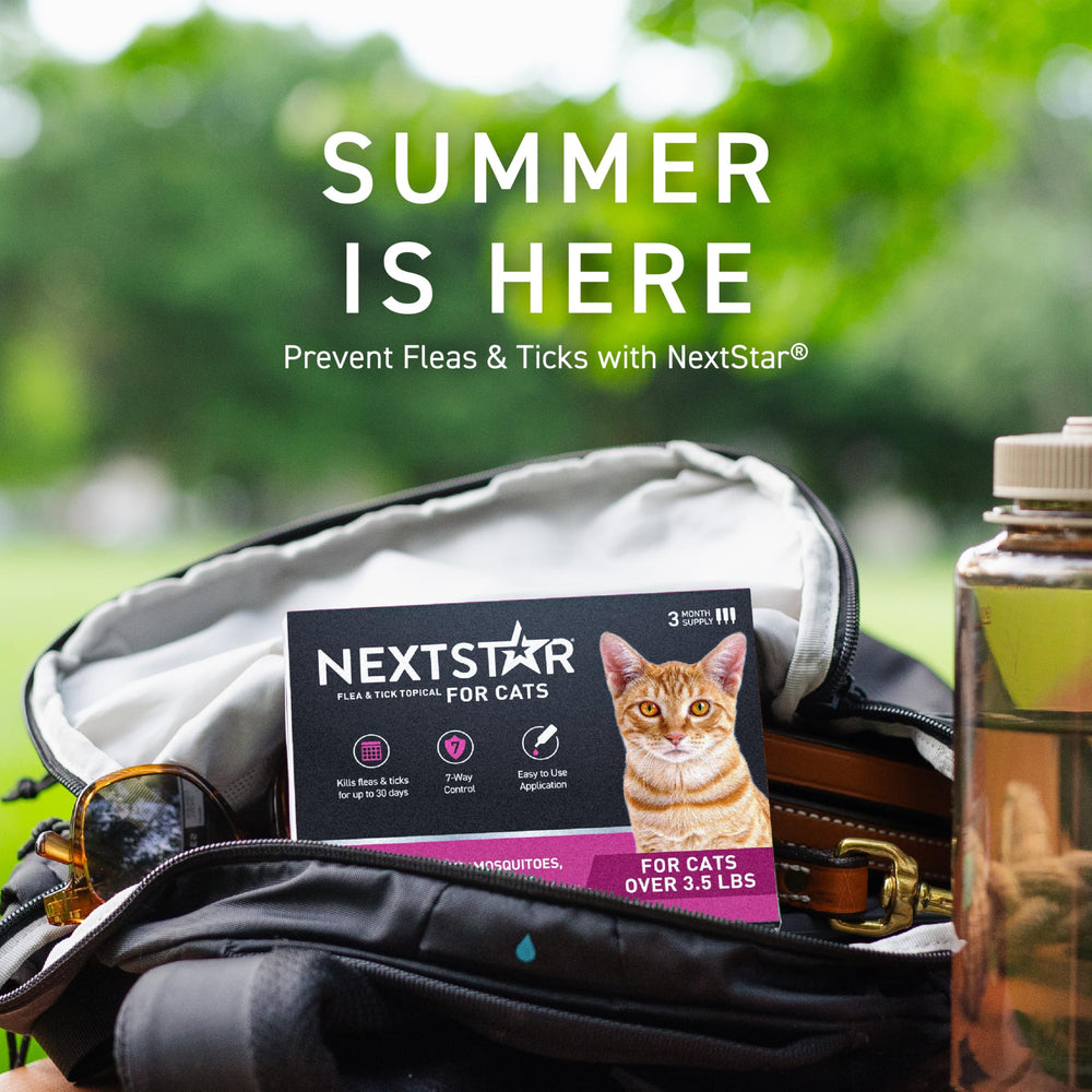 NEXTSTAR uso en hogar con gato relajado mostrando protección continua