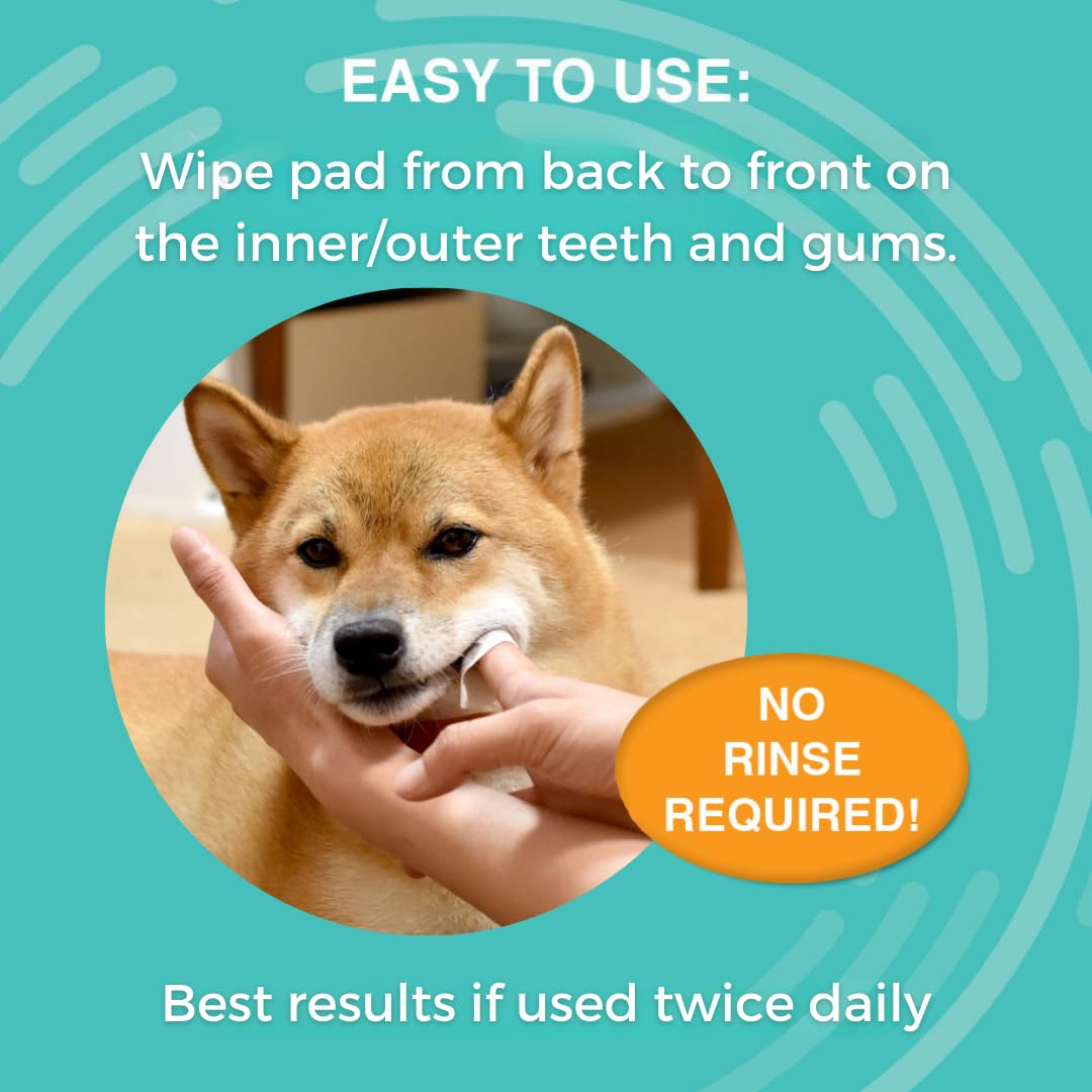Nootie toallita en uso limpiando dientes de perro, acción rápida