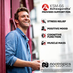 Nootropics Depot cápsulas sobre mesa junto a libro y taza, sugiere uso diario relajante