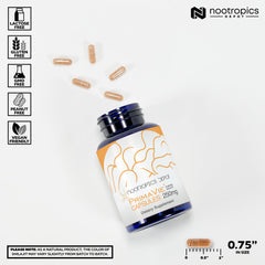 Nootropics Depot primer plano del extracto textural destacando origen purificado