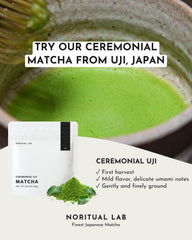 NORITUAL LAB polvo de matcha Uji textura fina y color verde brillante para mezclar fácil