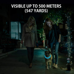 Novkin collar iluminado en perro durante paseo nocturno incrementando seguridad