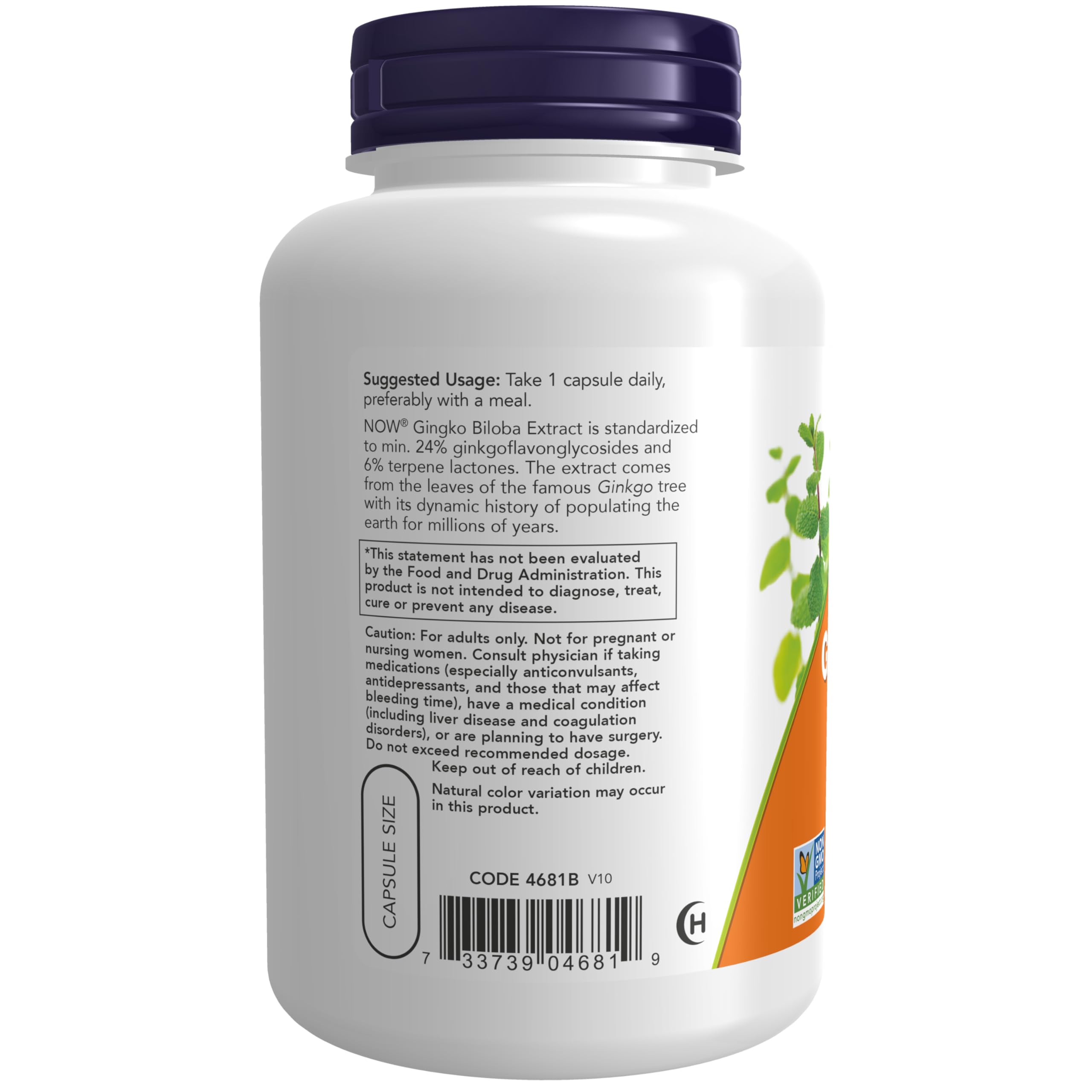 NOW Foods primer plano del polvo del extracto mostrando textura y pureza