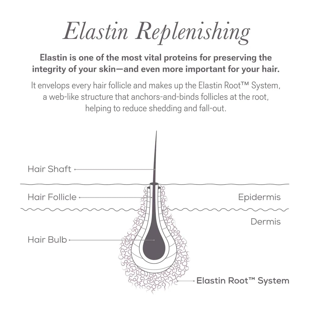 NULASTIN ingredientes clave en fondo neutro destacando refuerzo capilar