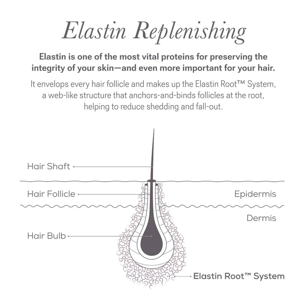 NULASTIN ingredientes clave en fondo neutro destacando refuerzo capilar