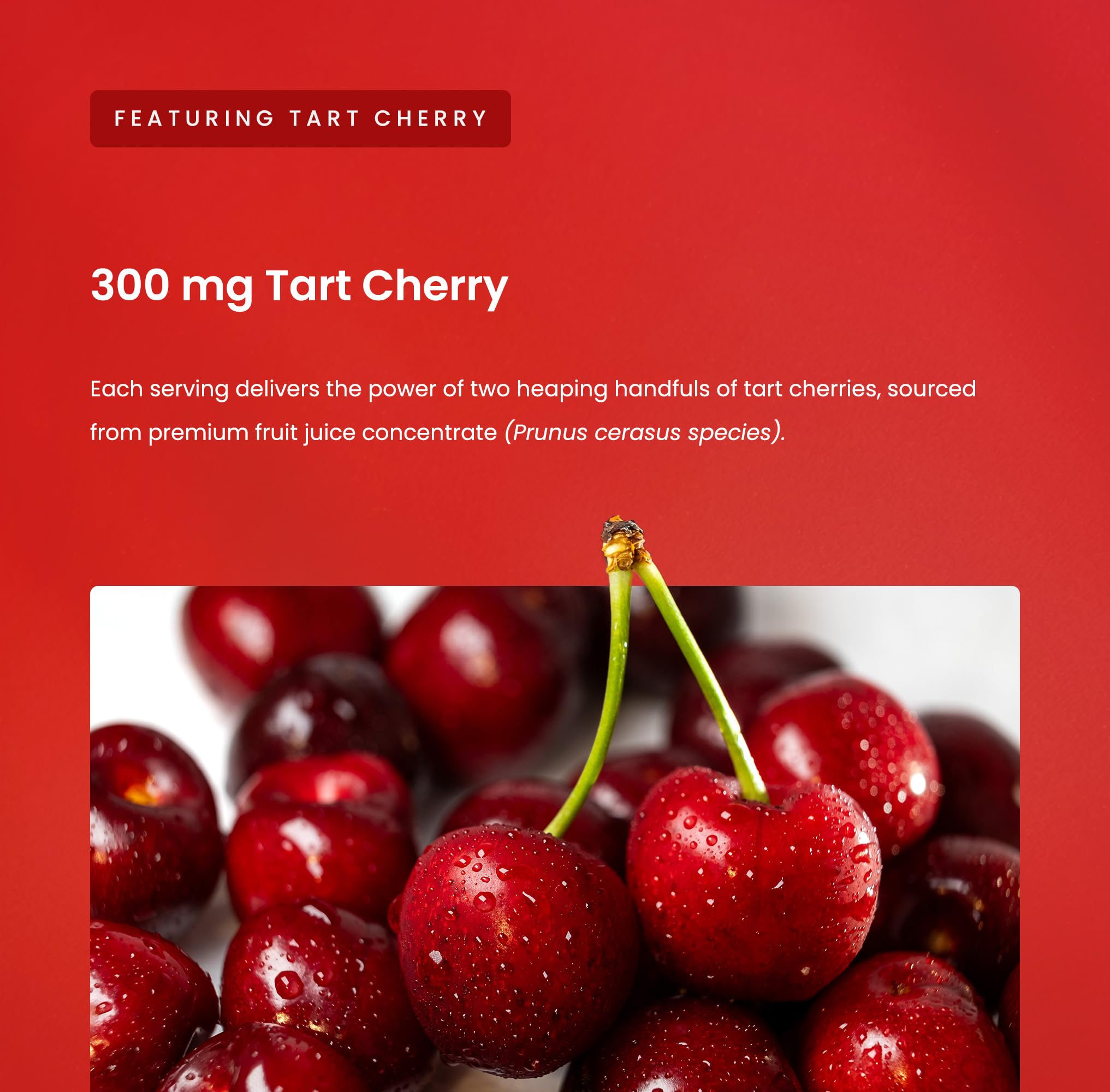 Detalle ingredientes NutraChamps cereza ácida y semilla de apio combinados