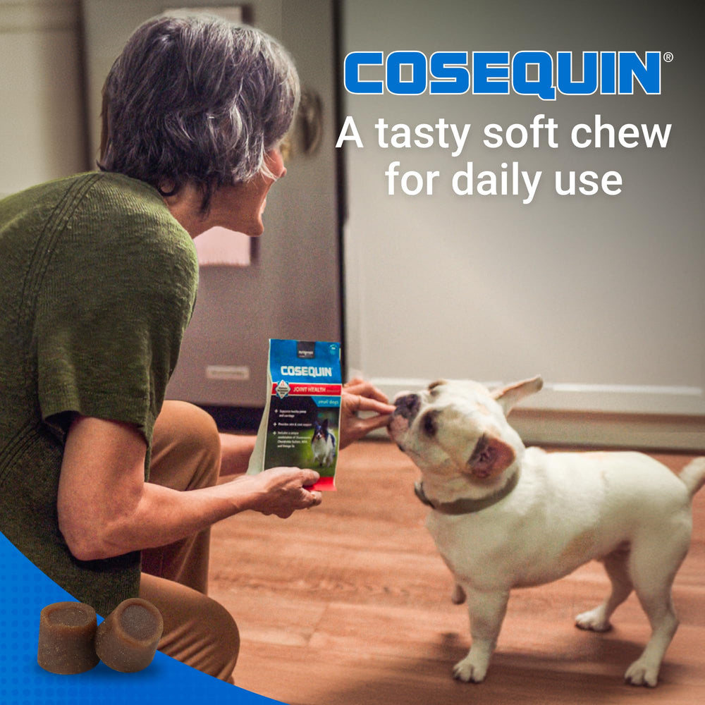 Nutramax Cosequin envase abierto con masticables listos para administración
