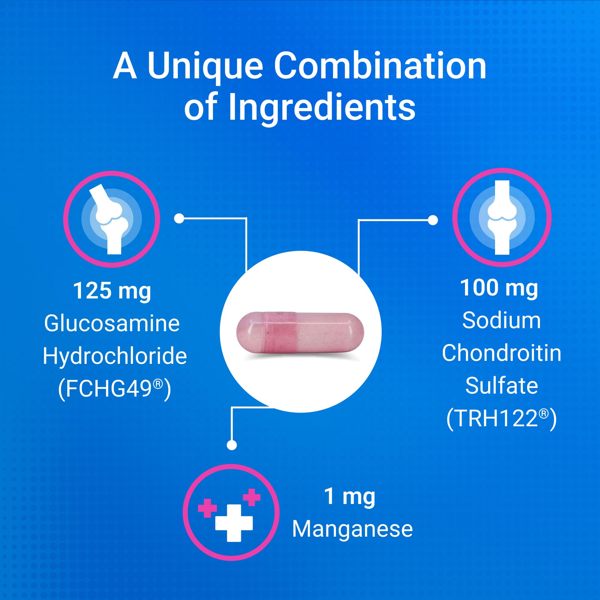 NutraMax Cosequin label closeup highlighting ingredients and quality checks