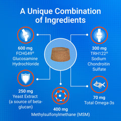Nutramax Cosequin label close-up showing ingredients and quality assurance
