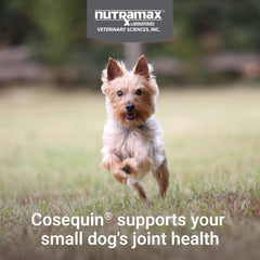 Nutramax Cosequin masticable en mano para comparar tamaño y dosificación