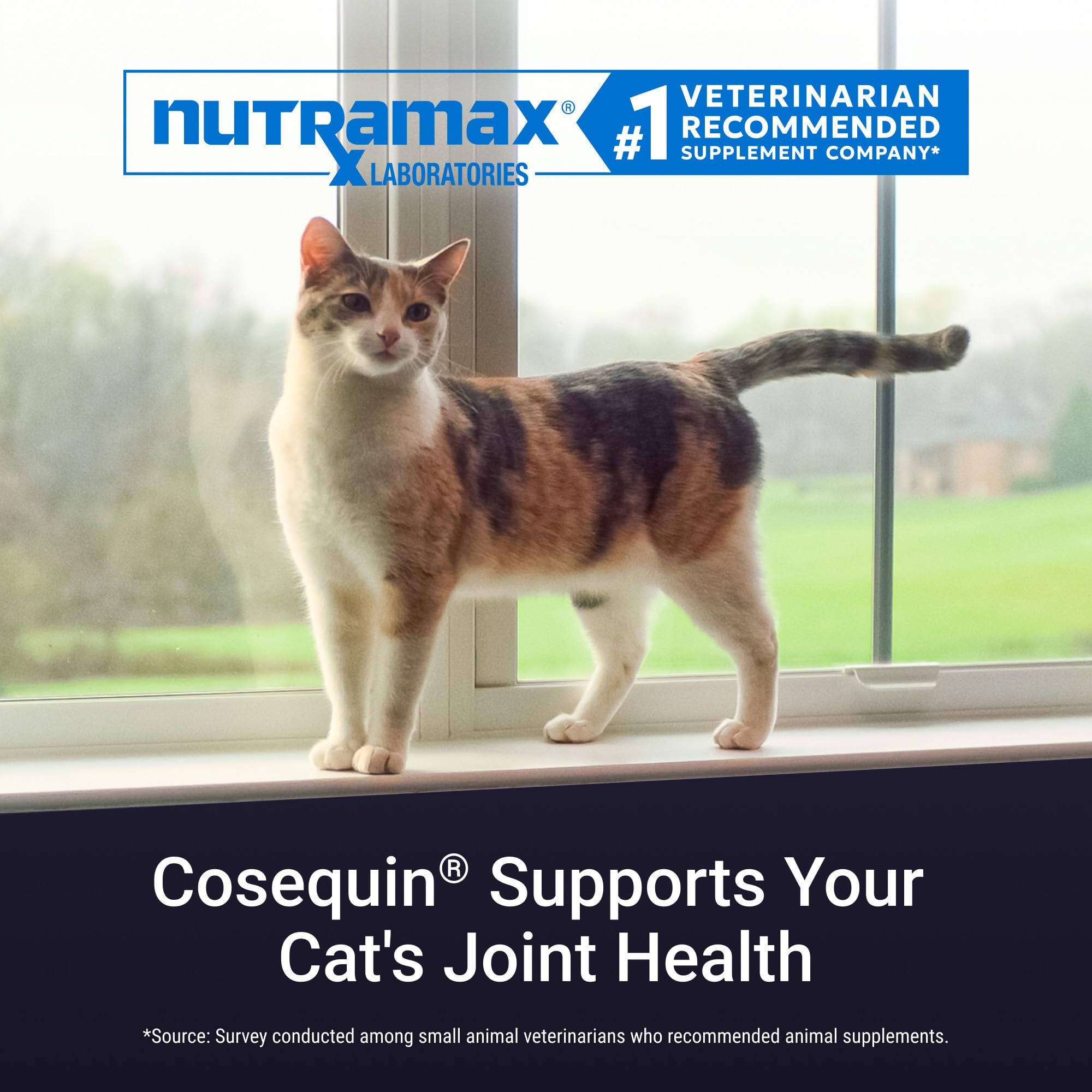 NutraMax Cosequin powder sprinkled on cat food for easy administration