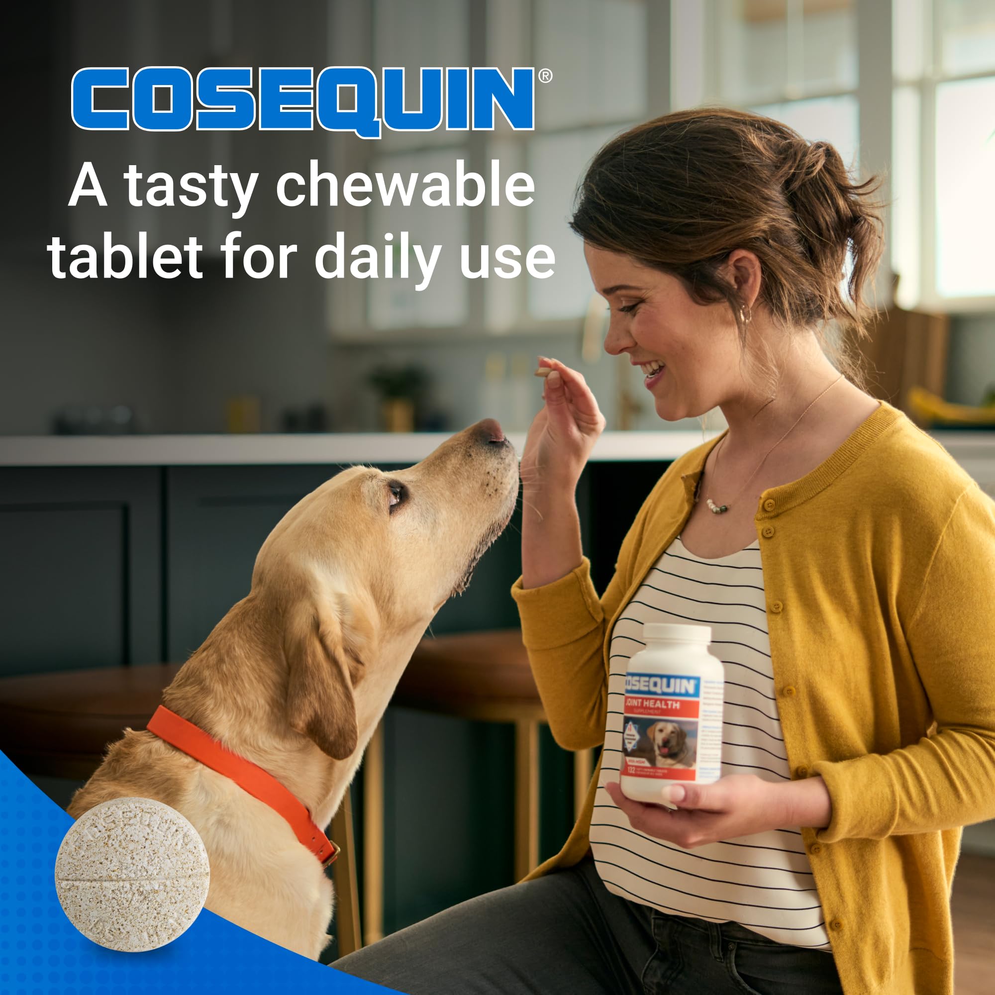 Nutramax Cosequin usado mientras un perro juega, apoyando movimiento cómodo