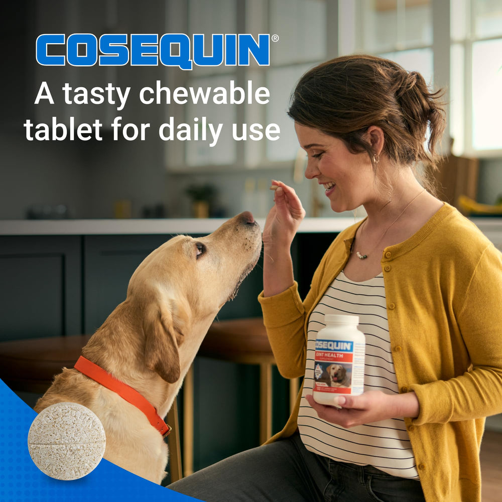 Nutramax Cosequin usado mientras un perro juega, apoyando movimiento cómodo