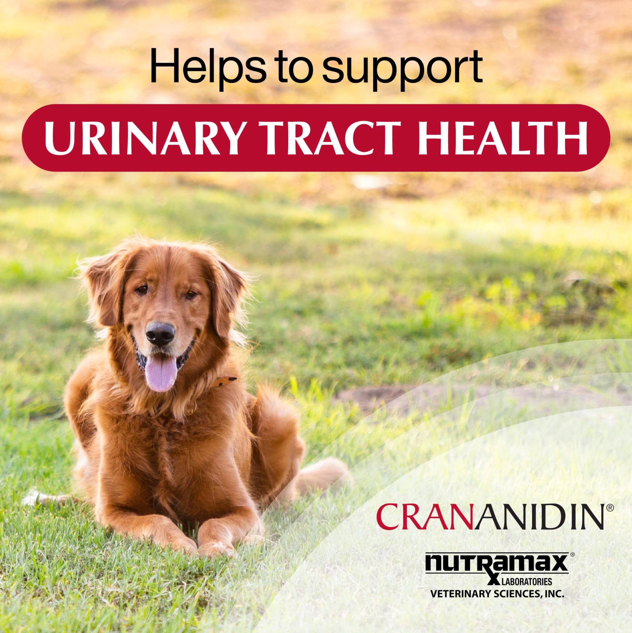 Nutramax Crananidin etiqueta con información nutricional y recomendaciones de uso