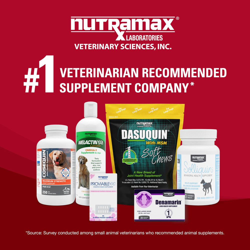 Nutramax Crananidin perro aceptando tableta masticable facilita administración diaria