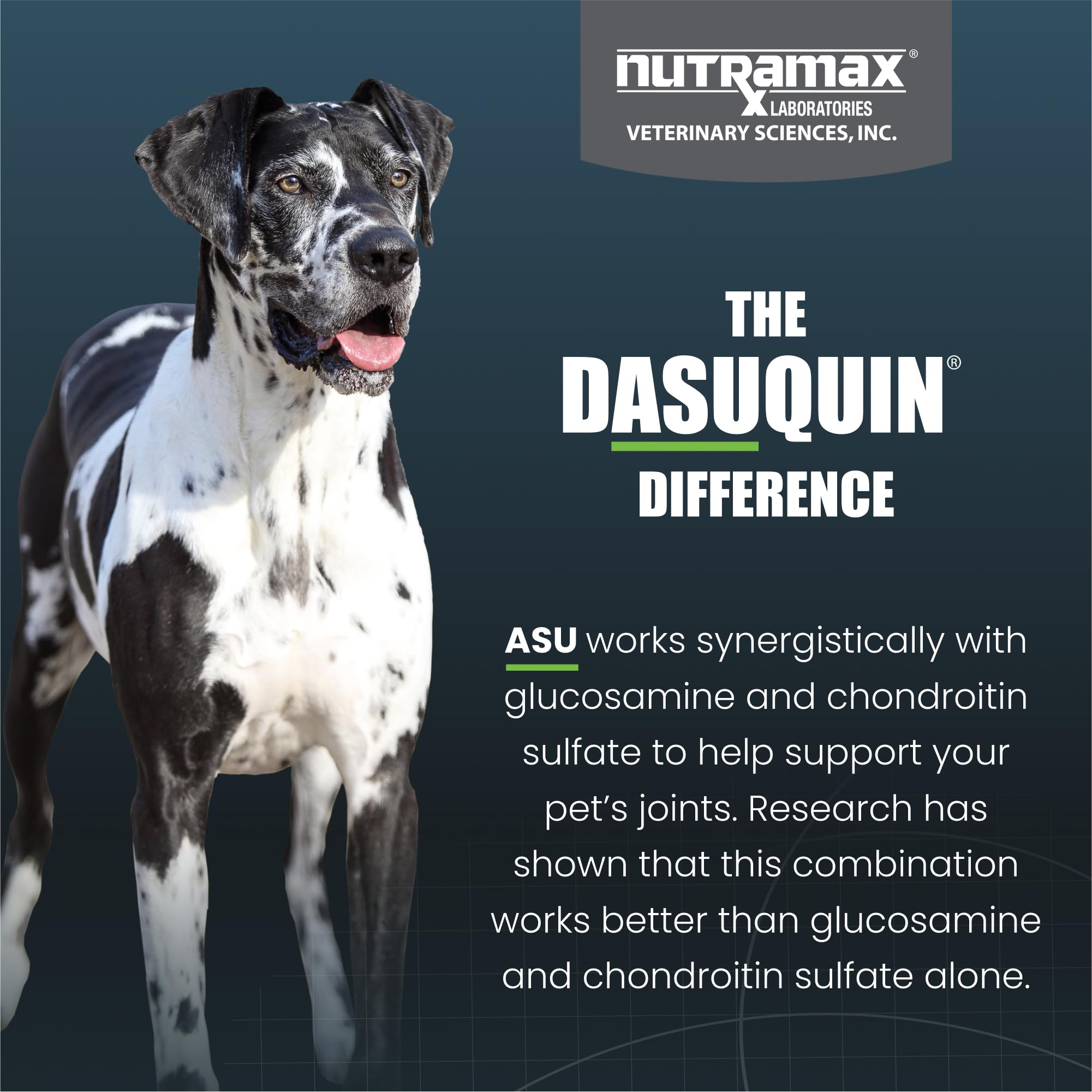 Nutramax Dasuquin comprimido junto a alimento Facilita dar suplemento diario