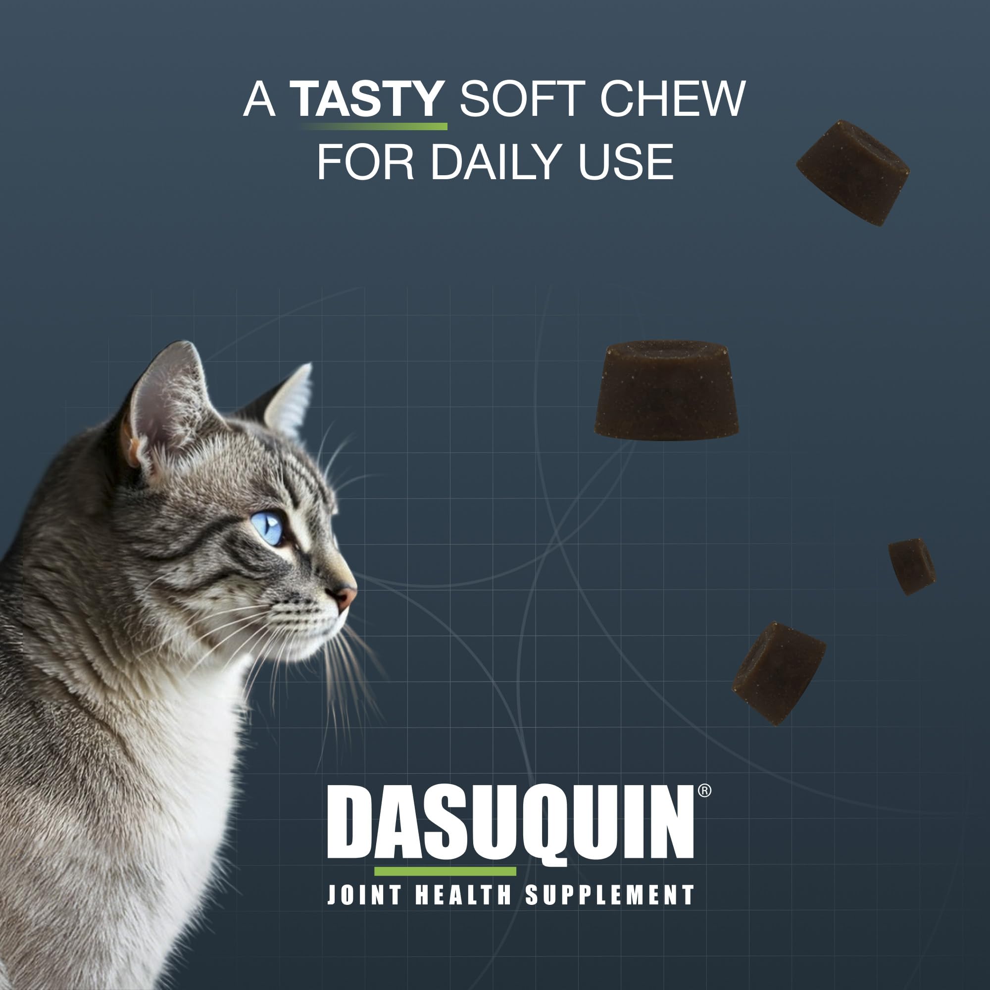 Gato comiendo Dasuquin Nutramax, aceptación y administración sencilla