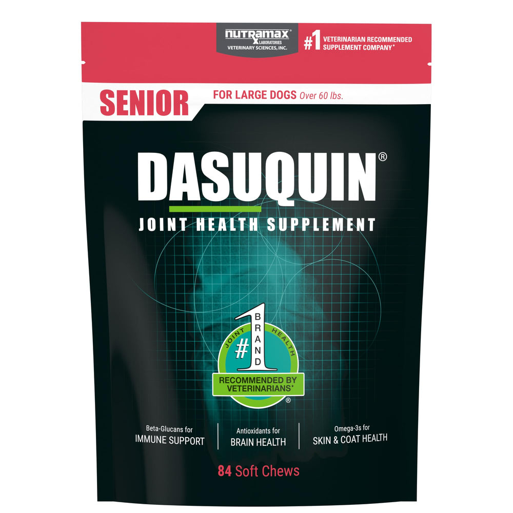 Nutramax Dasuquin Senior frontal del envase mostrando presentación y confianza