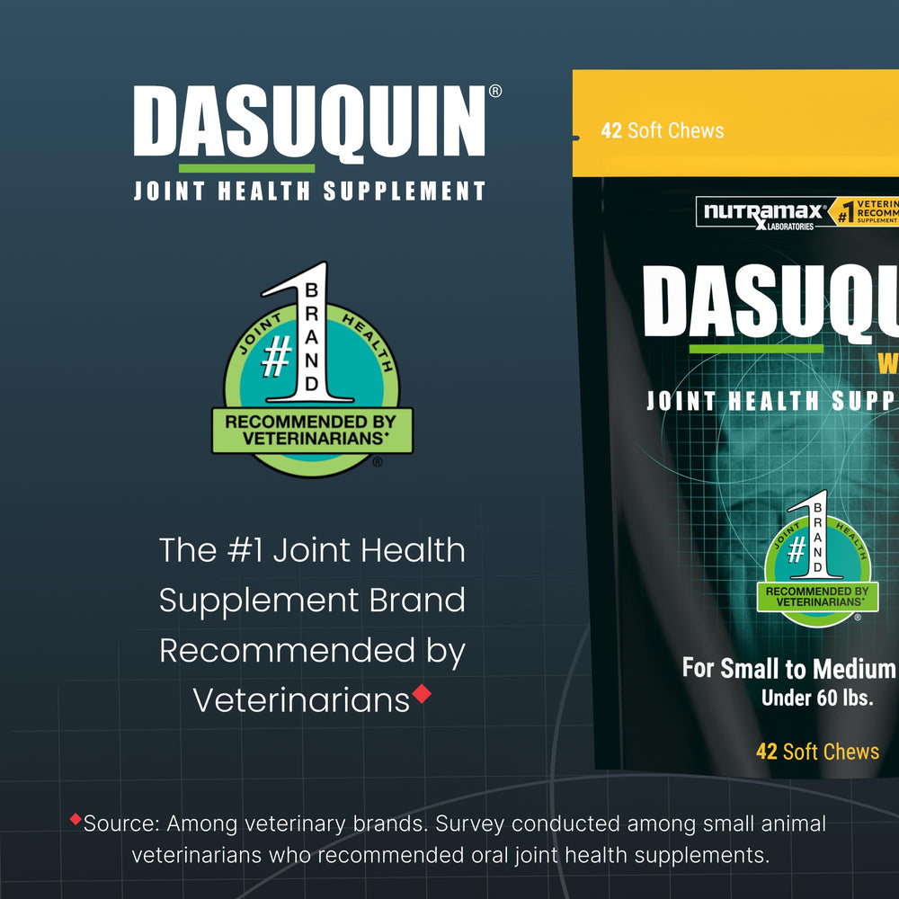 Nutramax Dasuquin masticable en mano para comparar tamaño y dosificación