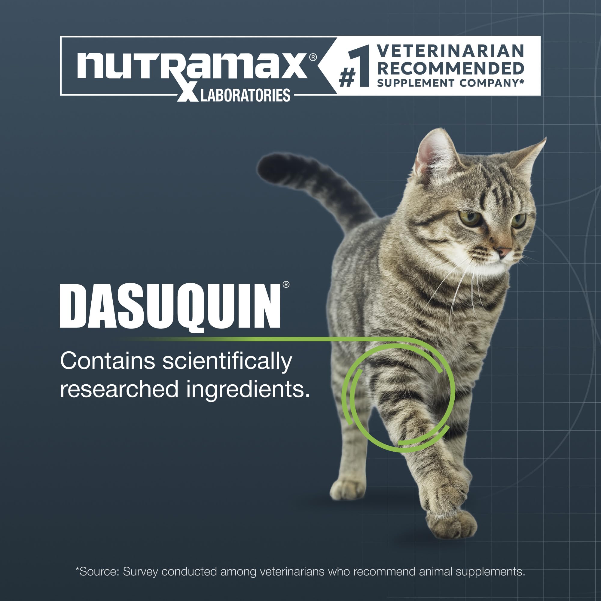Nutramax Dasuquin textura interior del masticable, apariencia blanda y densa
