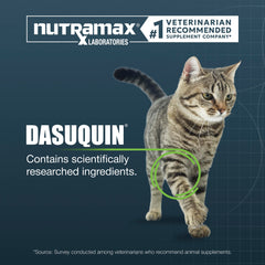 Nutramax Dasuquin textura interior del masticable, apariencia blanda y densa