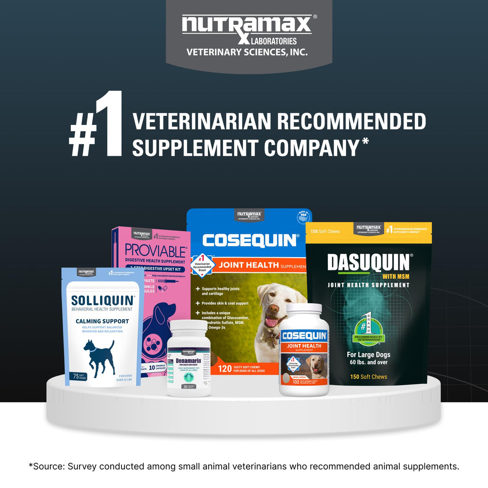 Nutramax Dasuquin uso diario representado con reloj para rutina diaria