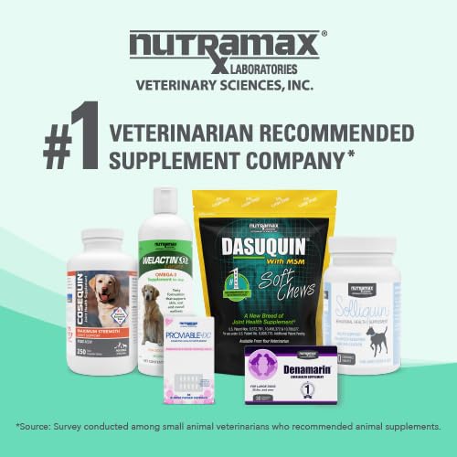 Escena hogareña con perro y suplemento Nutramax Denamarin para cuidado continuo