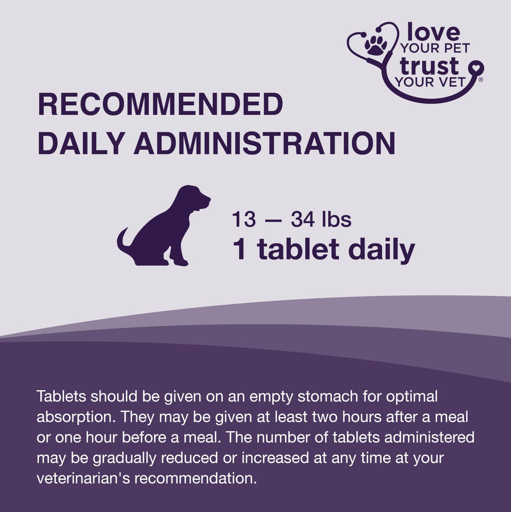 Nutramax Denamarin tabletas ocultas en comida siendo aceptadas por perro
