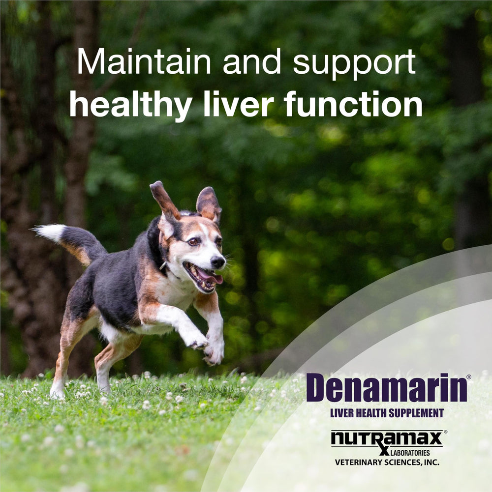 Nutramax Denamarin tableta recubierta en primer plano, fácil de administrar