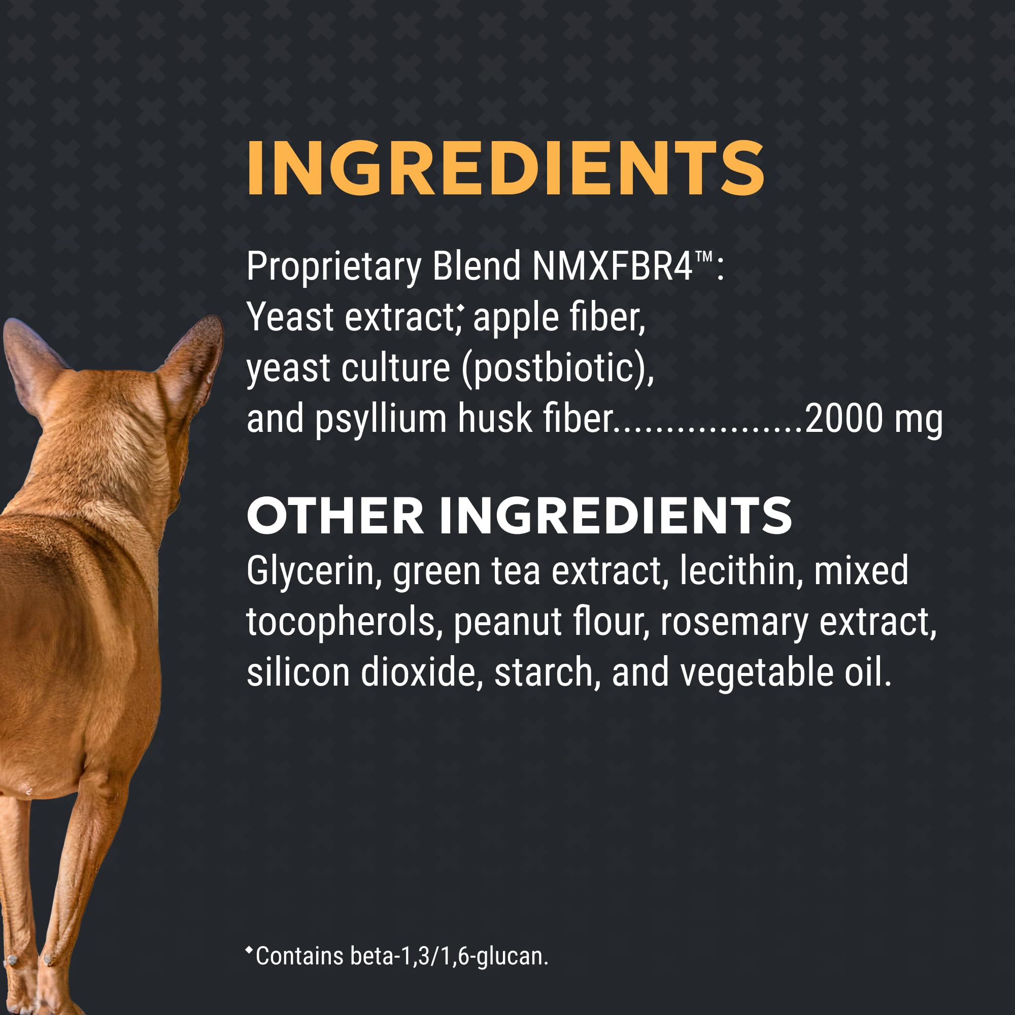 Perro en paseo y dueño con bote Nutramax Filaquin, apoya salud intestinal