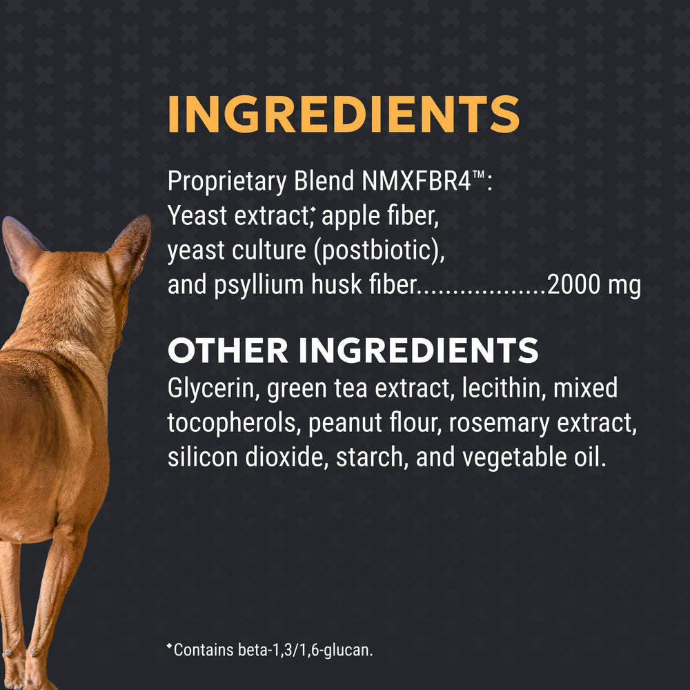 Perro en paseo y dueño con bote Nutramax Filaquin, apoya salud intestinal