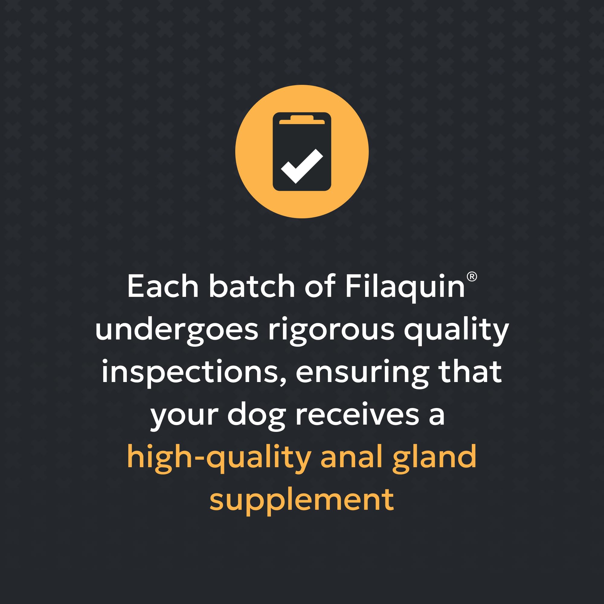 Nutramax Filaquin ingredientes sobre fondo claro resaltando fibras y postbióticos