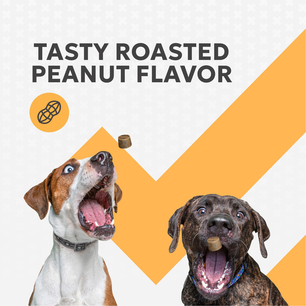 Perro aceptando Nutramax Filaquin masticable, favorece administración diaria