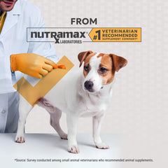 Nutramax Filaquin comparación de tamaño con juguete para referencia de escala