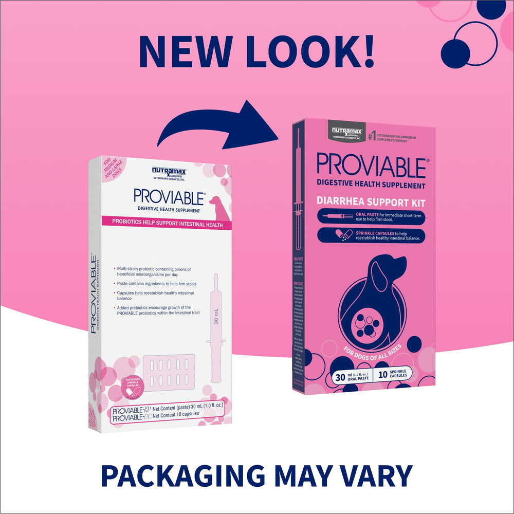 Nutramax Proviable cápsula abierta con polvo probiótico útil para la microbiota