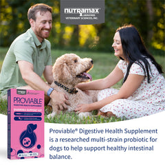 Nutramax Proviable jeringa con pasta en mano lista para administrar alivio