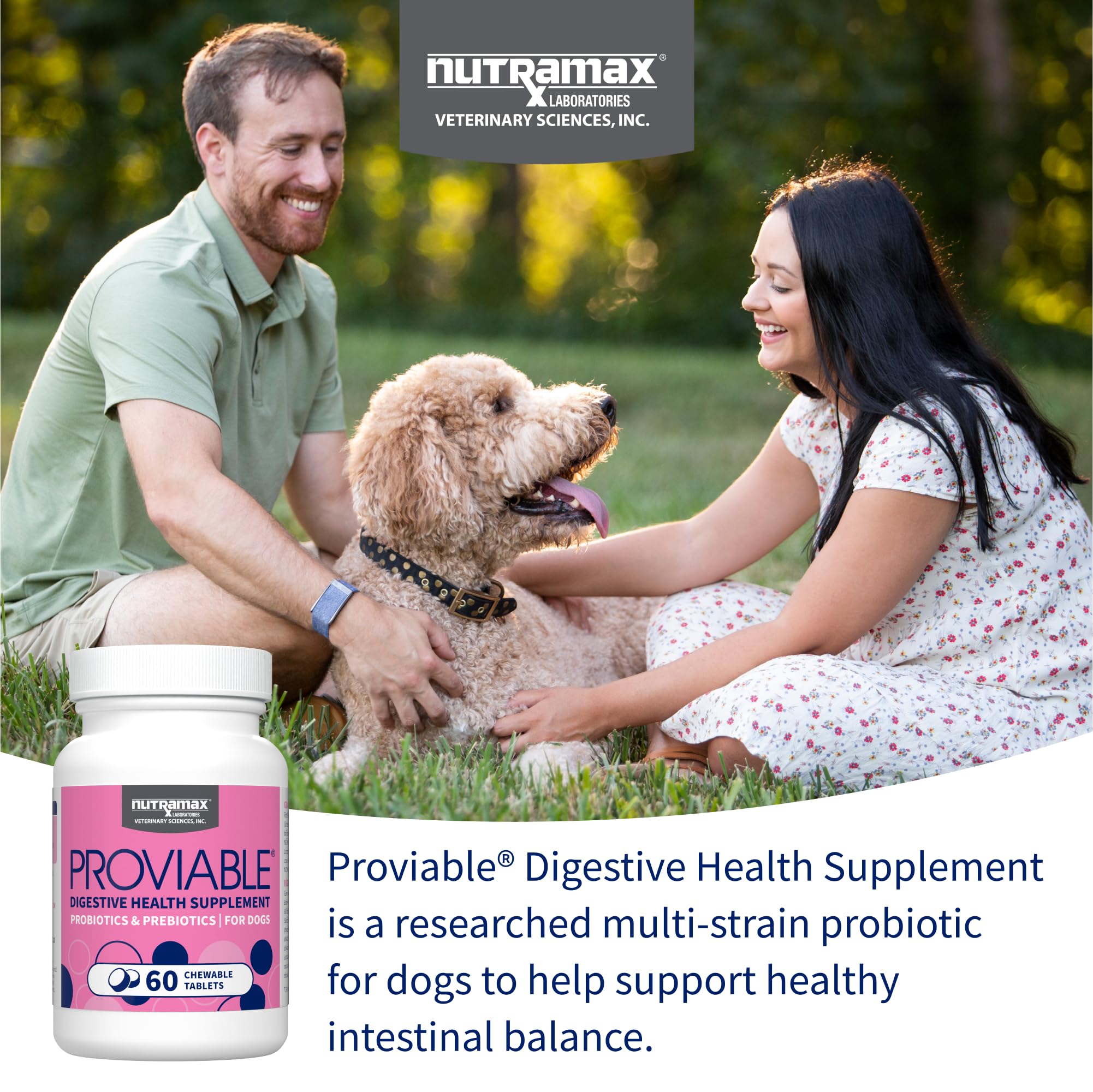Nutramax Proviable textura de la tableta en mano clara, ideal para dar premio
