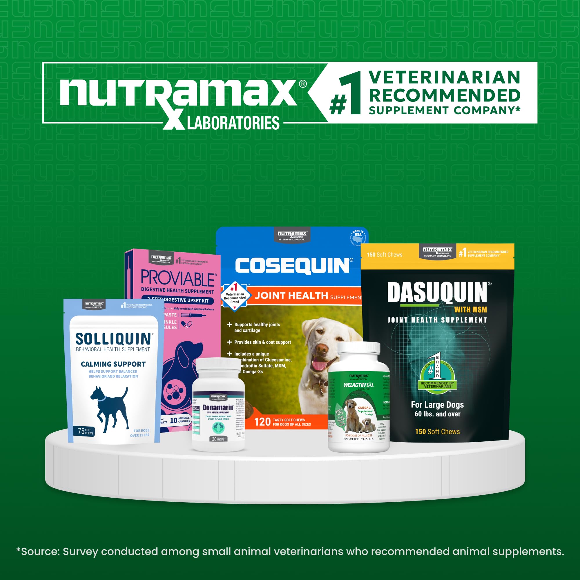 Nutramax Welactin en clínica veterinaria mostrando recomendación profesional