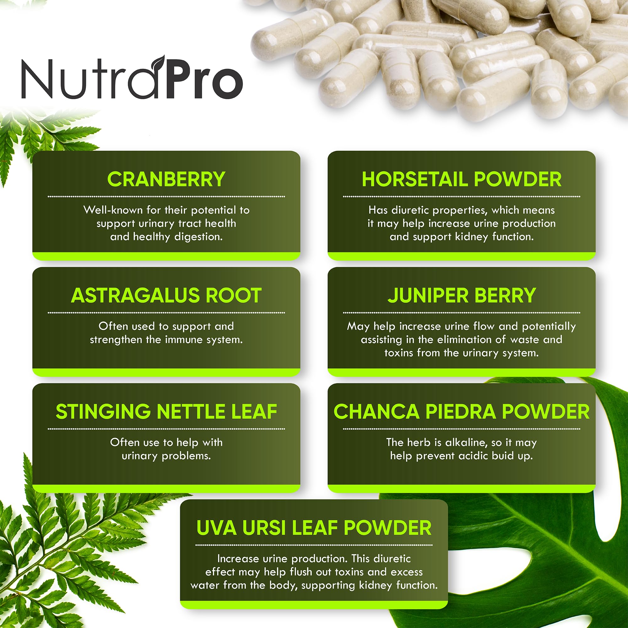 NutraPro etiqueta informativa primer plano con lista de ingredientes clave